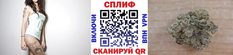 Каннабис индика  Нарьян-Мар 